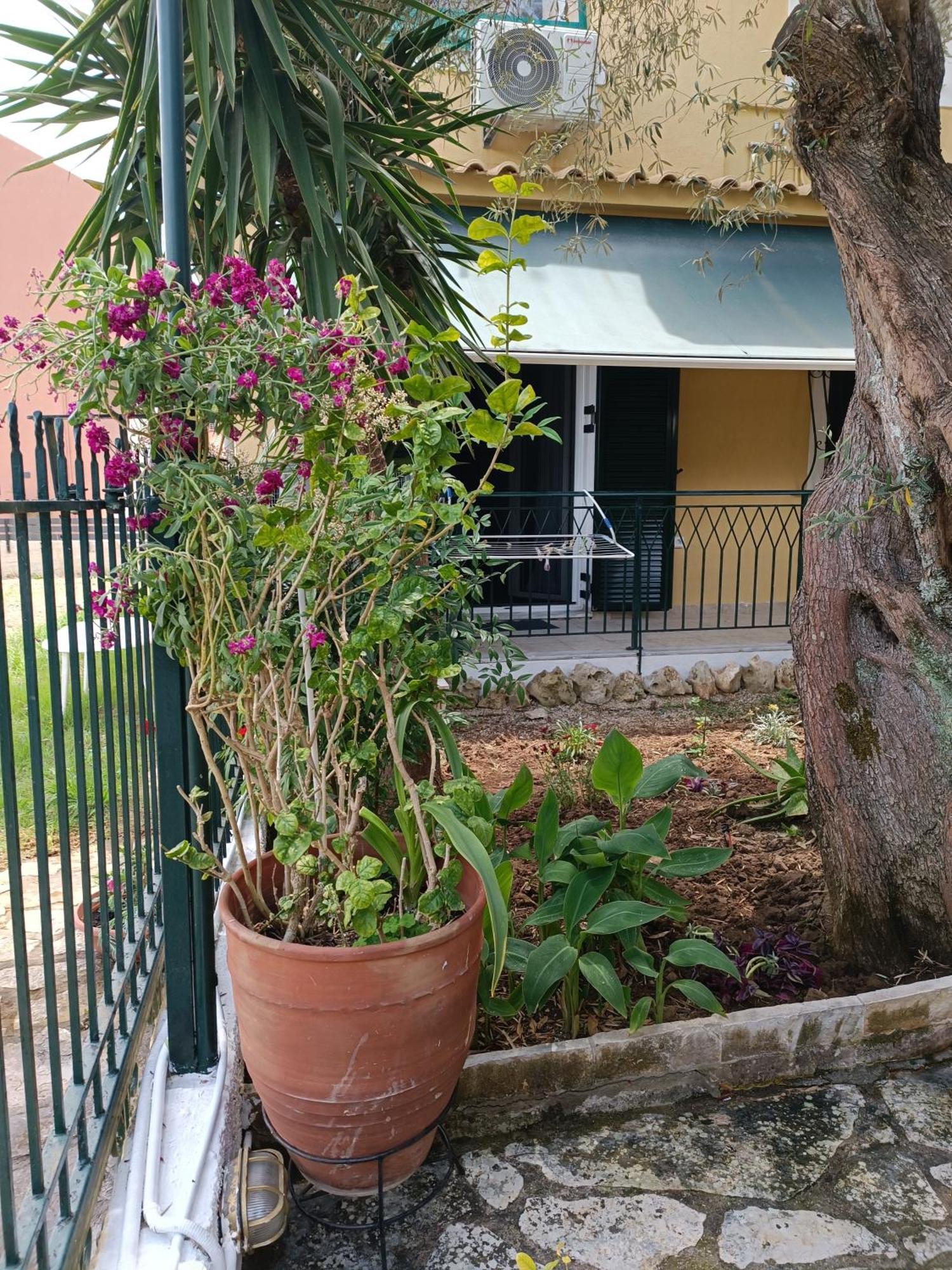 Casa Trizoni Nikiana 아파트 외부 사진