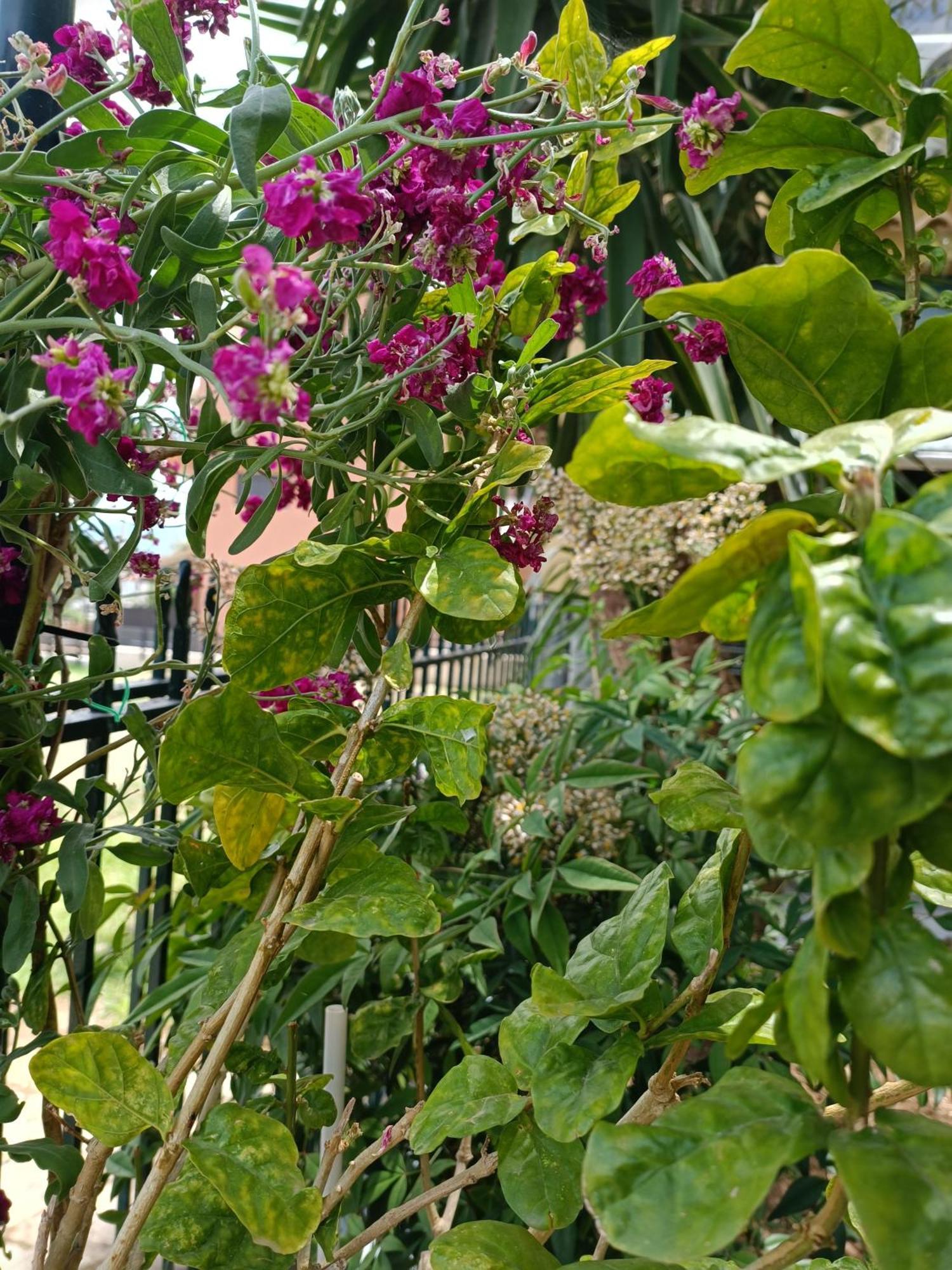 Casa Trizoni Nikiana 아파트 외부 사진