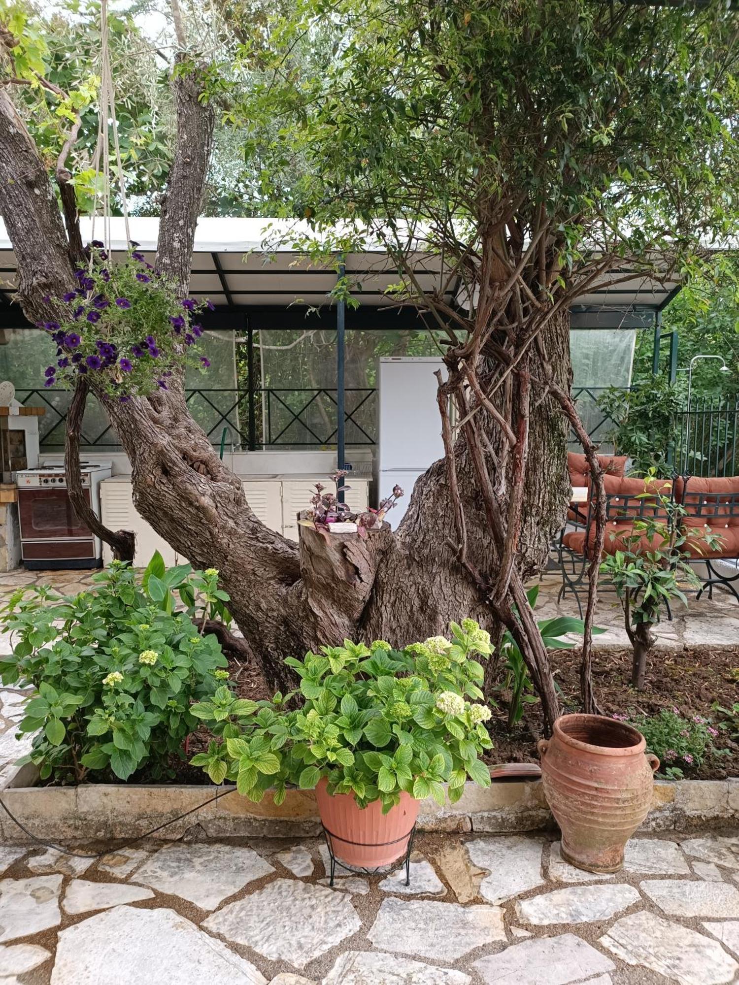 Casa Trizoni Nikiana 아파트 외부 사진
