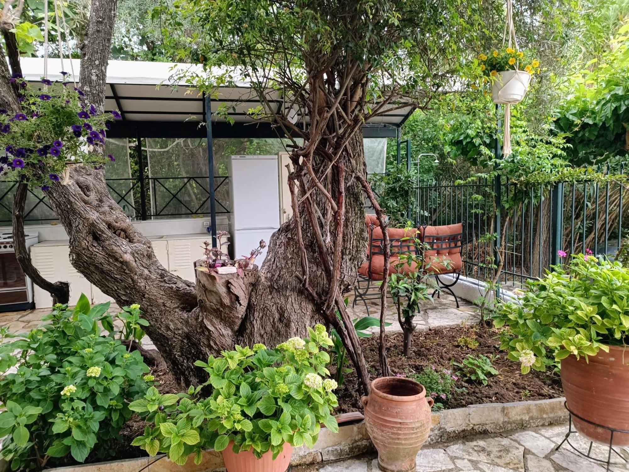 Casa Trizoni Nikiana 아파트 외부 사진
